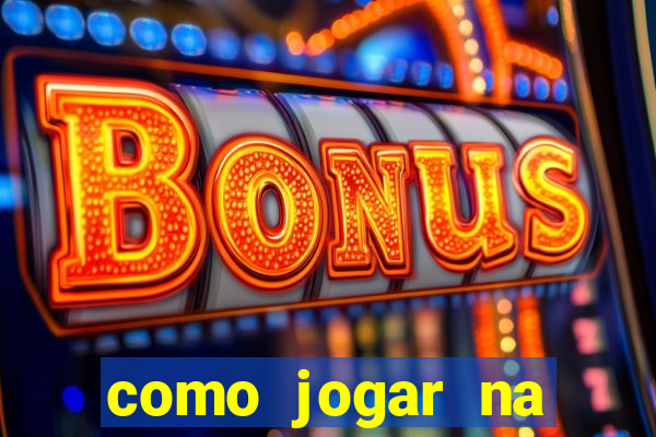 como jogar na lotinha do jogo do bicho